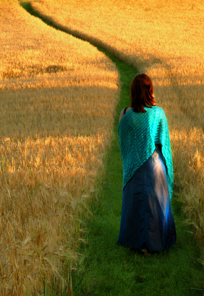 photo "The path through the field" tags: landscape, nature, 