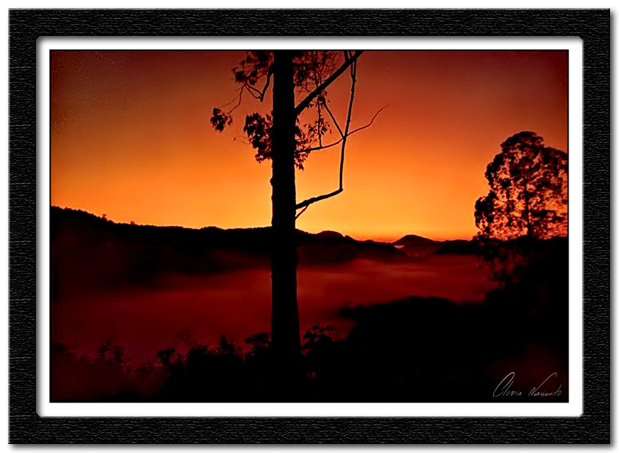 photo "Nevoa (Fog)" tags: landscape, sunset
