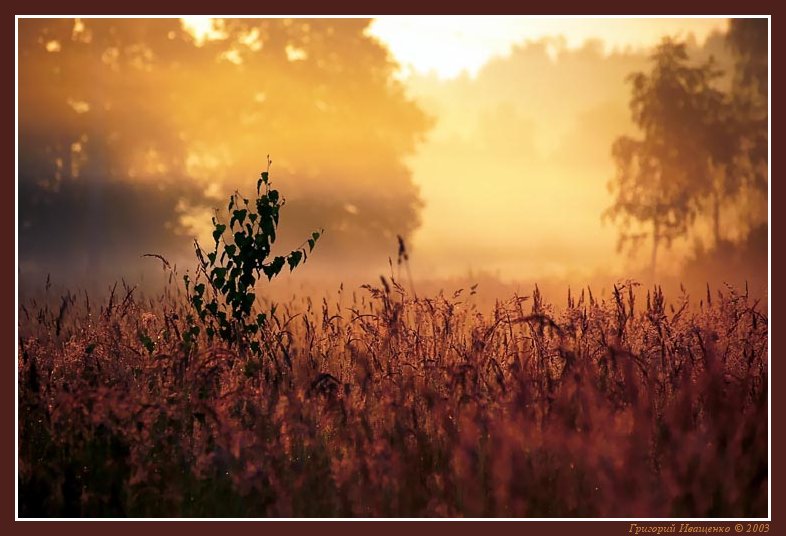 photo "Hot morning" tags: landscape, summer, sunset