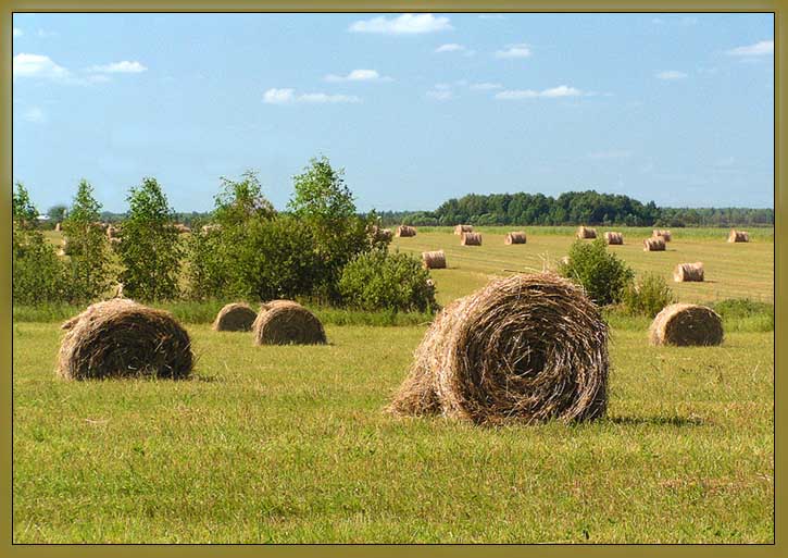 photo "*****" tags: landscape, nature, summer