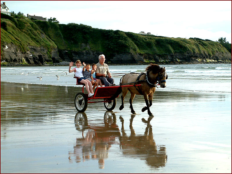 photo "Happy Holidays" tags: landscape, summer, water