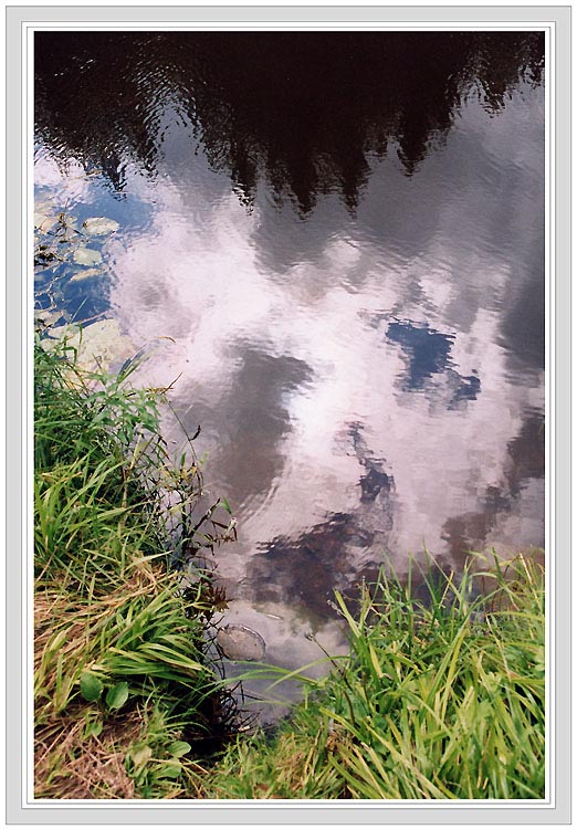 photo "River painting" tags: landscape, summer, water
