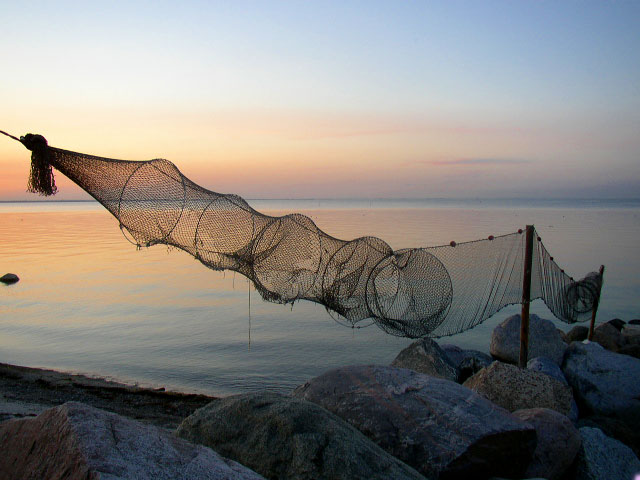 photo "Net, color and ligth" tags: landscape, summer, water