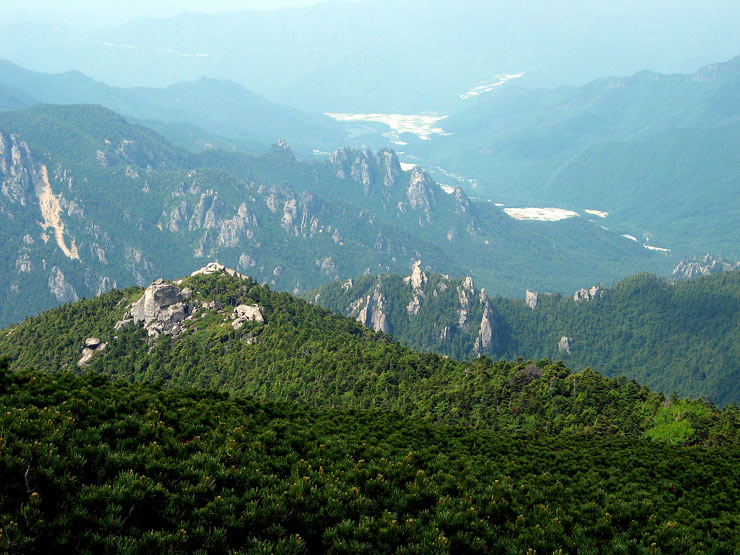 фото "Sea of Pines" метки: пейзаж, путешествия, Азия, горы