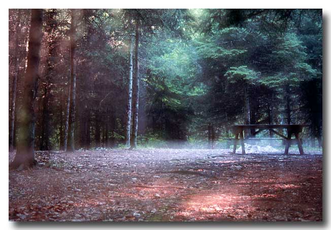 photo "Impression - the bench" tags: abstract, 