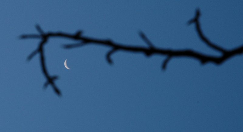 photo "***" tags: landscape, night