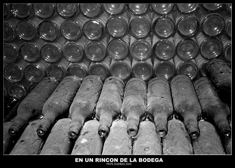 photo "Old bottles in the celler" tags: black&white, misc., 