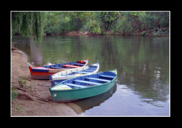 photo "Romantic tree boats" tags: landscape, summer, water