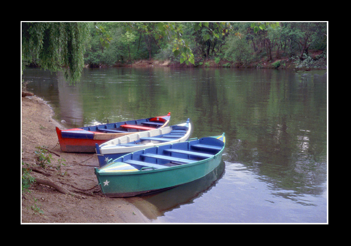 фото "Romantic tree boats" метки: пейзаж, вода, лето