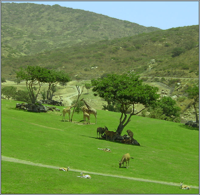 photo "How beautiful our Savanna is!" tags: travel, landscape, North America