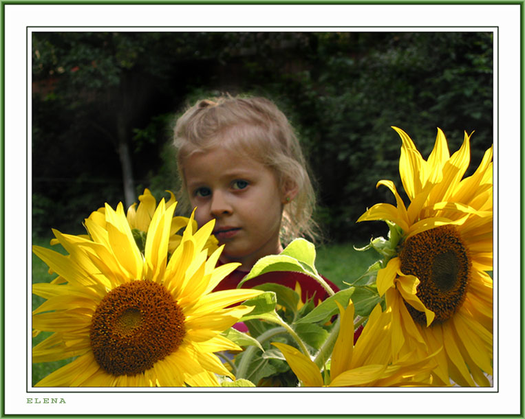 photo "Sunflower" tags: nature, portrait, children, flowers