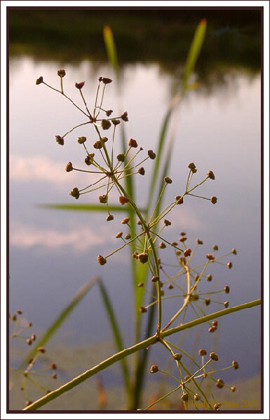 photo "Untitled photo" tags: nature, landscape, water