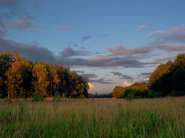 photo "Vecer" tags: nature, 