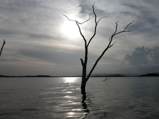 фото "Rio Verde 1" метки: фотомонтаж, 