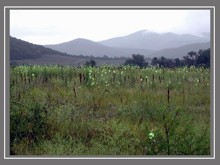 photo "Northern Caucasus" tags: landscape, travel, mountains