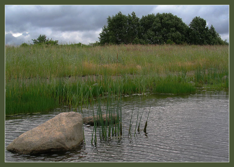 photo "Before a rain" tags: landscape, summer, water