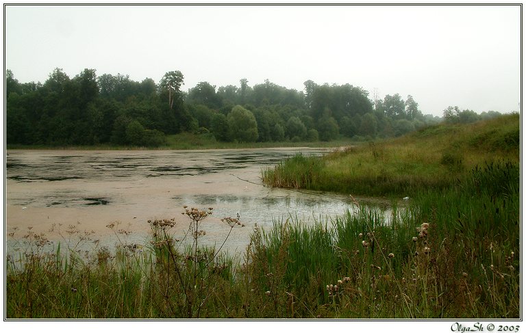 фото "Старый пруд. Белкино.1" метки: пейзаж, вода, лето