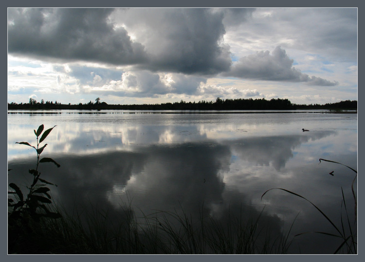 photo "Duck hunting is possible" tags: landscape, clouds, water