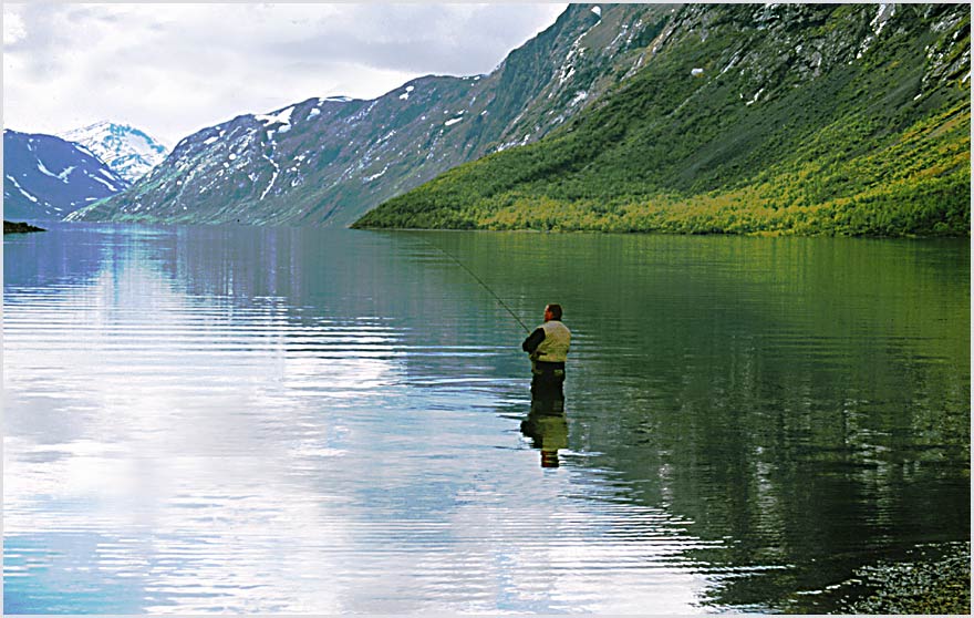 photo "The fisherman" tags: nature, 