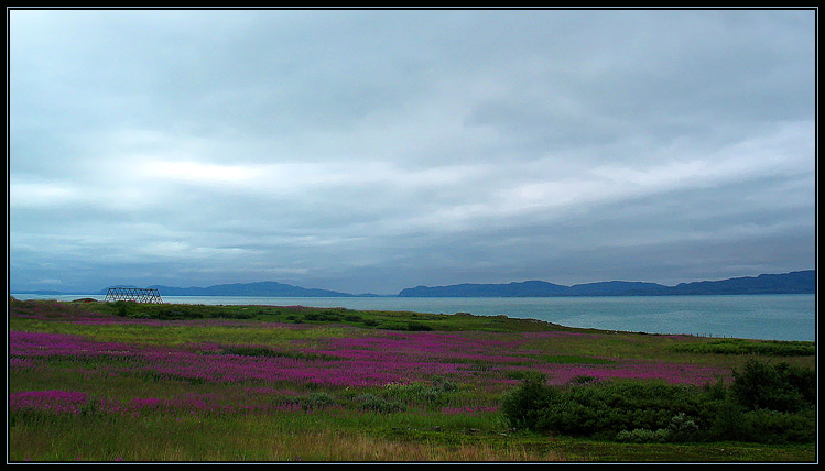 photo "Nordland" tags: landscape, summer, water