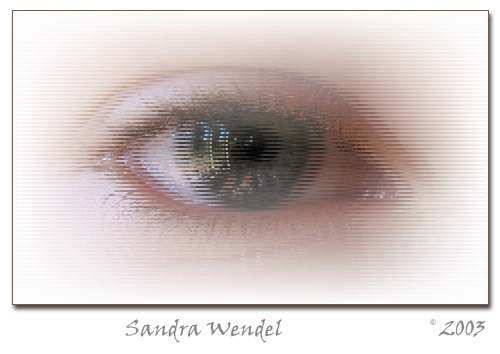 photo "eye-lines" tags: macro and close-up, 