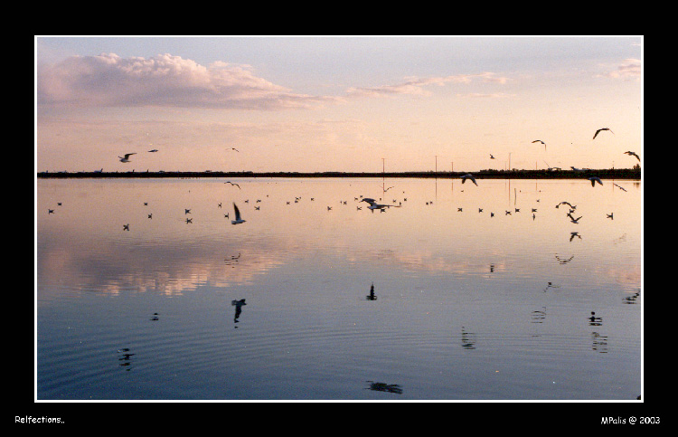 photo "Reflections" tags: landscape, sunset, water