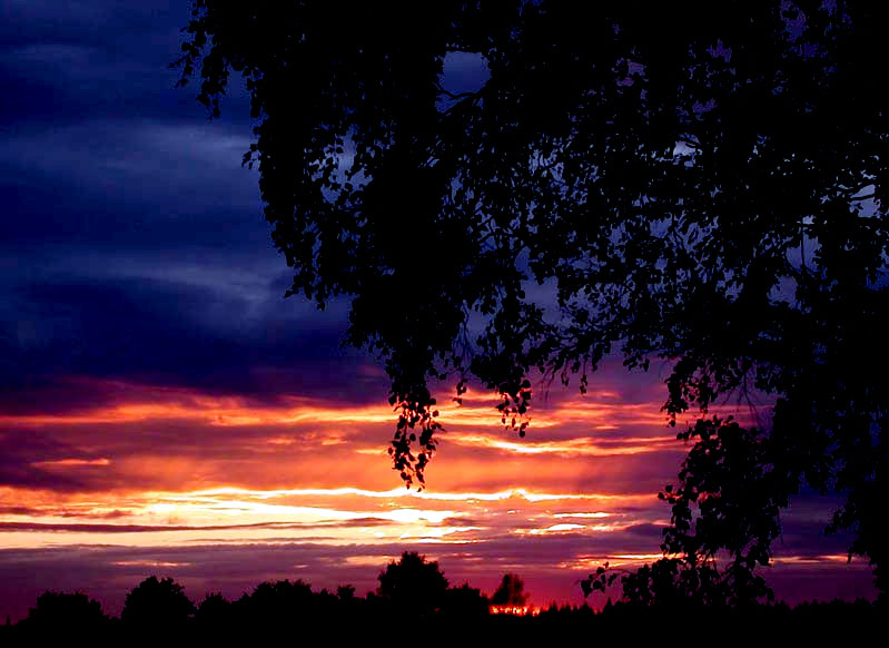 photo "Evening 0" tags: landscape, sunset