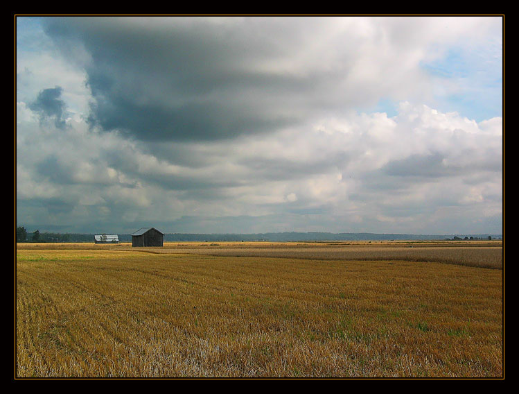 photo "Autumn Rains Are Soon" tags: landscape, autumn