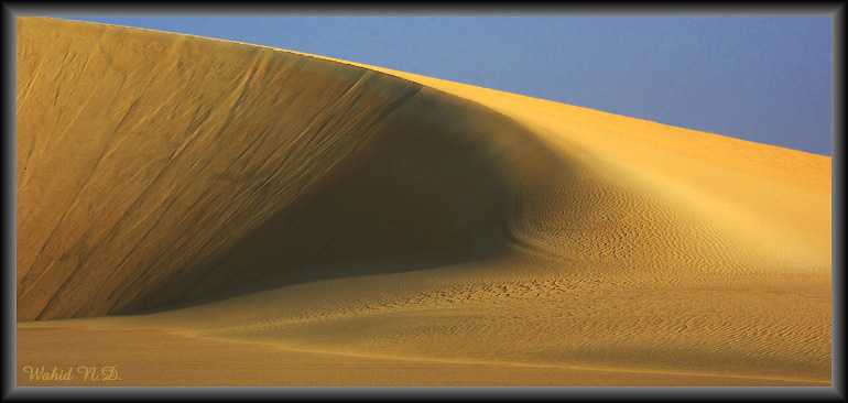 photo "Sand Dune # 14" tags: nature, 