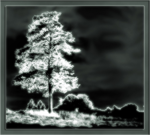 photo "Northern color" tags: montage, landscape, 