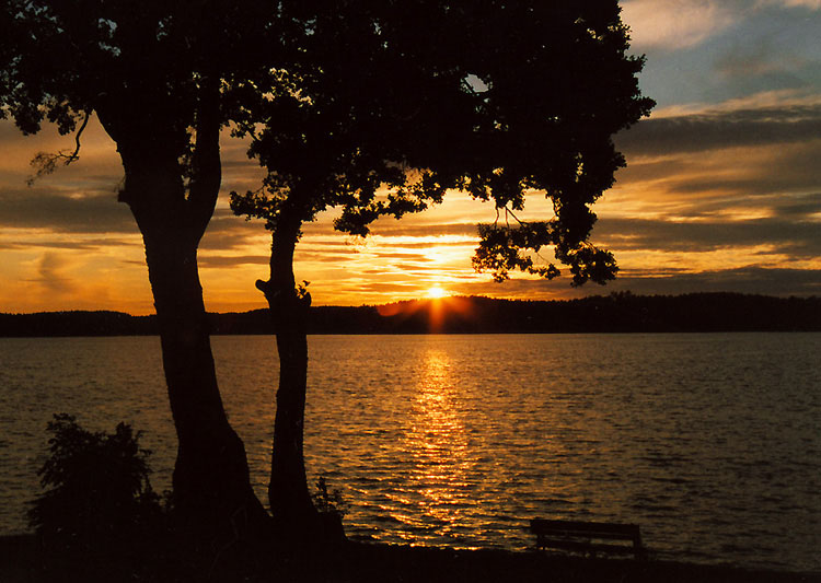 photo "Autumn bench" tags: landscape, sunset