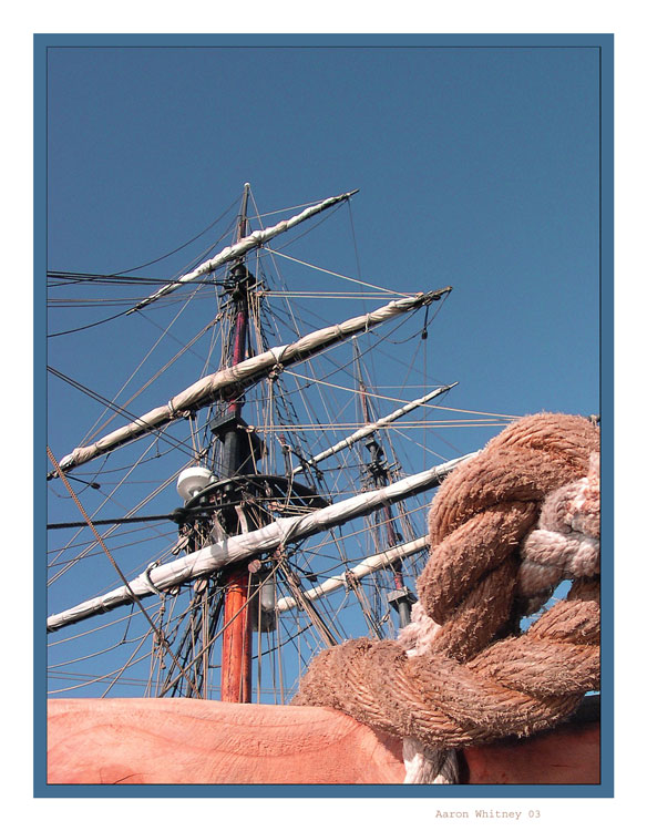 photo "Holding down Lady Washington" tags: reporting, still life, 