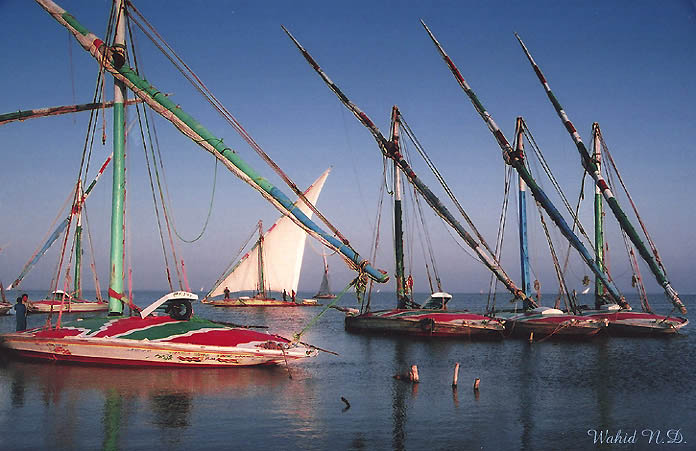 photo "Masts & sails#1" tags: misc., 