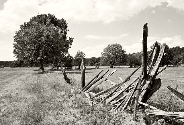 фото "Landscape" метки: разное, 