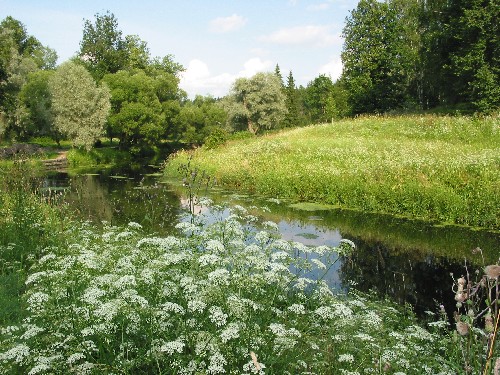 photo "Summer in Pavlovsk" tags: landscape, summer, water
