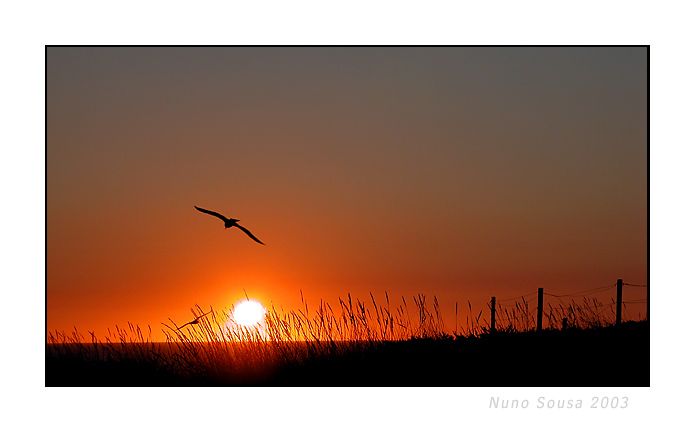 фото "Sunset..." метки: пейзаж, закат