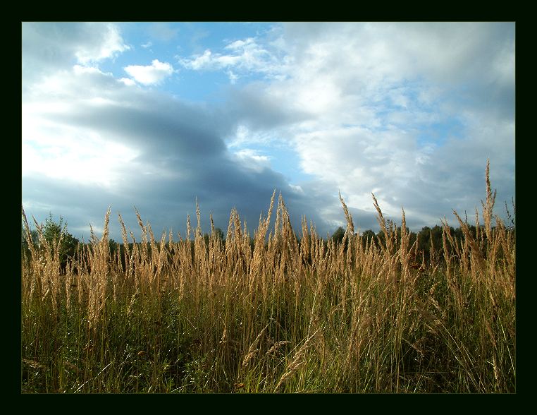 photo "Here and autumn..." tags: landscape, autumn