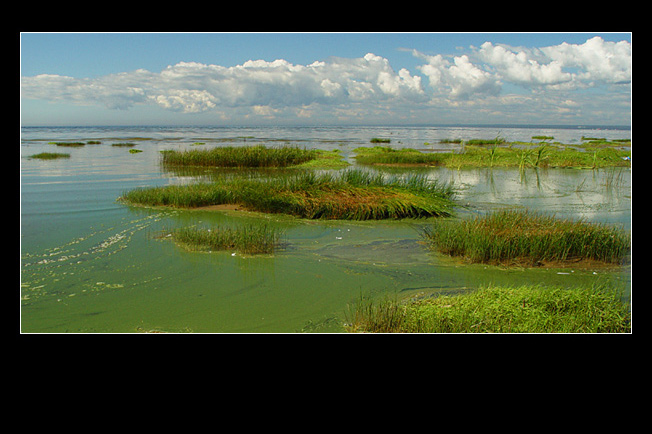 photo "Last summaday" tags: landscape, clouds, water