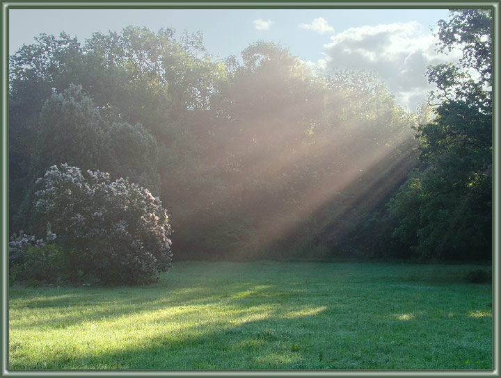 photo "Early walking in August IV" tags: landscape, autumn, forest