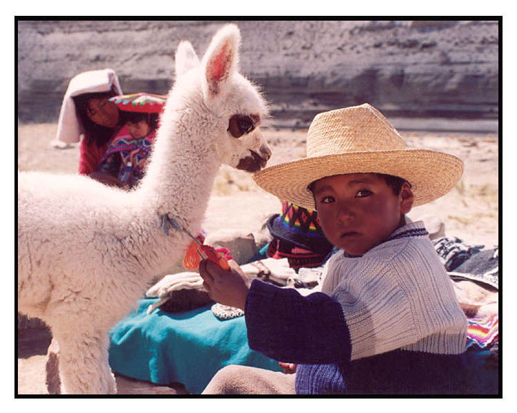 photo "Boy with llama" tags: genre, portrait, children