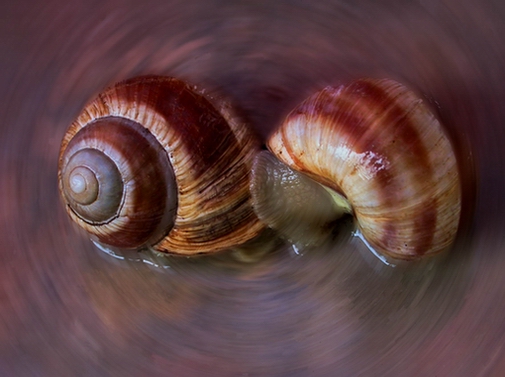 photo "Last Embrace" tags: misc., 