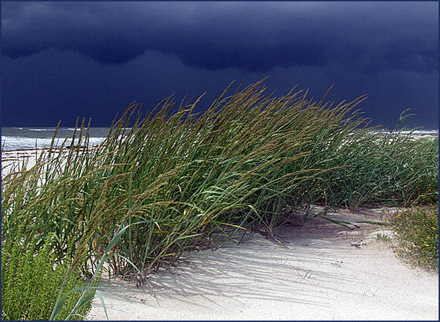 фото "Breezes in Blue" метки: пейзаж, вода