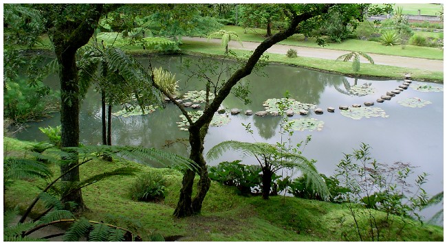 photo "Lago" tags: landscape, forest, water