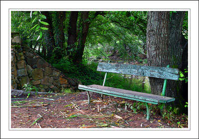 photo "banco1" tags: landscape, forest