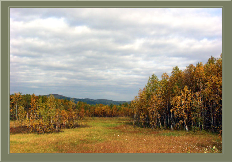 photo "Autumn..." tags: landscape, autumn, forest