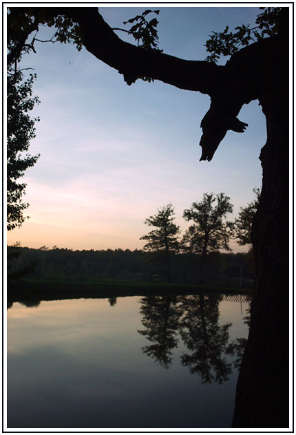 photo "Evening At The Pond" tags: landscape, sunset, water