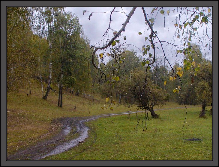 photo "Wet..." tags: landscape, autumn