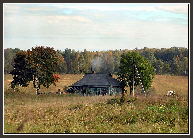 photo "September. Morning. In the center of Russia." tags: landscape, forest