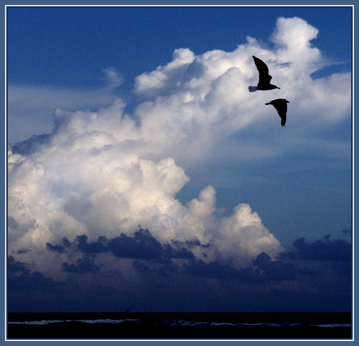 photo "Last Light Flight" tags: landscape, clouds