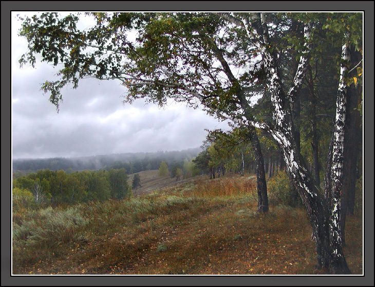 photo "Drizzle..." tags: landscape, autumn